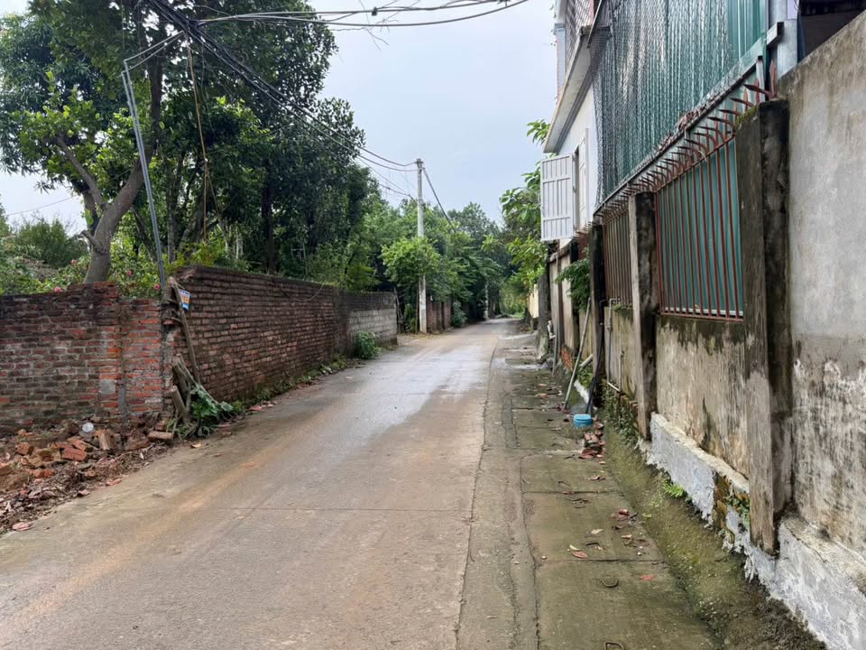 Đất nền đẹp Đông Yên, Quốc Oai 259,1m² - Tiềm năng đầu tư lớn!