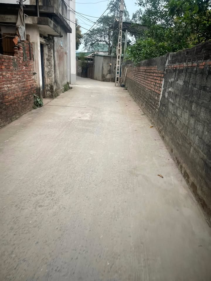 Đất thổ cư 80m² tại Thôn Đại Phu, Quốc Oai - Chính chủ bán gấp!