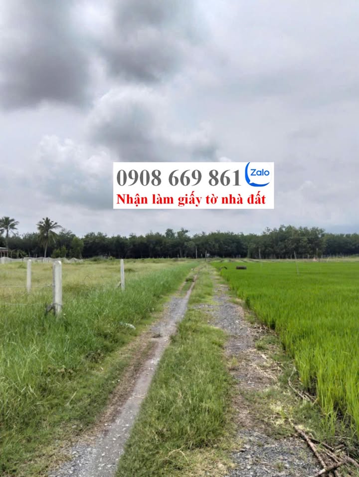 Đất nền Tân Hưng Tân Châu 150m² giá thỏa thuận - Sổ đỏ chính chủ, oto tới đất!