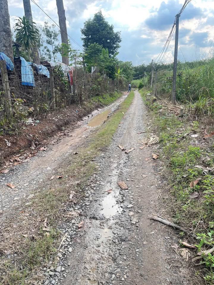 Đất Ninh Lợi Tây Ninh 546m² giá 300 triệu - Chủ bao làm đường!