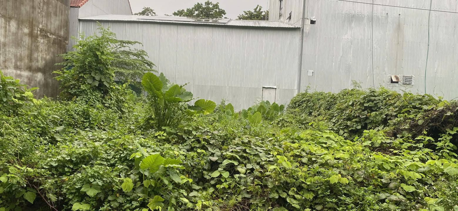 Đất KQH Kim Long giai đoạn 3, mặt tiền đường Hà Khê 203m² - Giá tốt, thương lượng ngay!