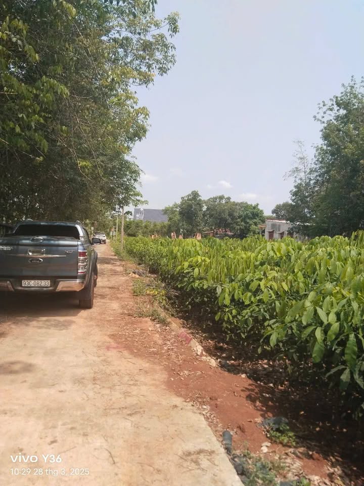 Đất nền Tân Lập, Đồng Phú 160m² giá chỉ 400 triệu - Cơ hội đầu tư tuyệt vời!