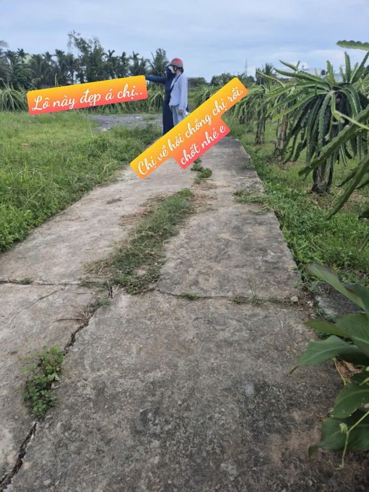 Đất nền Phan Thiết 125m² giá 680 triệu - Cách Ga Lê Duẩn chỉ 800m!