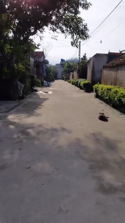 Đất nền khu phố 9, phường Quỳnh Xuân, 210m² - Cơ hội đầu tư hấp dẫn!