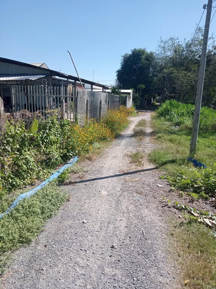 Đất Nền 2500m² Nhuận Đức, Củ Chi - Giá Chỉ 6.25 Tỷ, Đầu Tư Tiềm Năng!