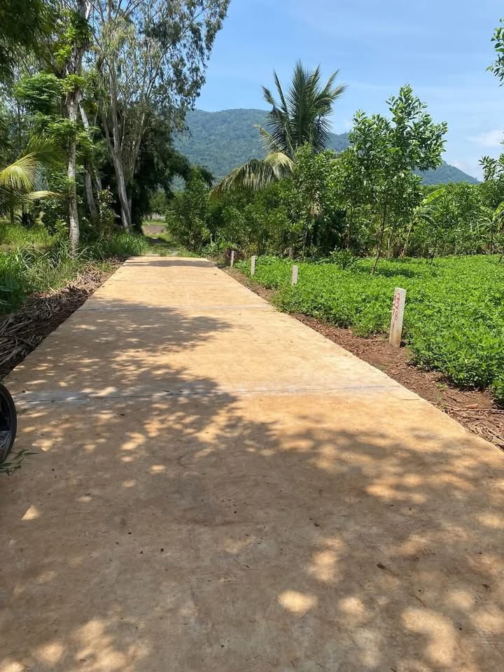 Đất thổ cư tại Xuân Trường, Xuân Lộc, Đồng Nai 190m² - Đầu tư lý tưởng cho tương lai!