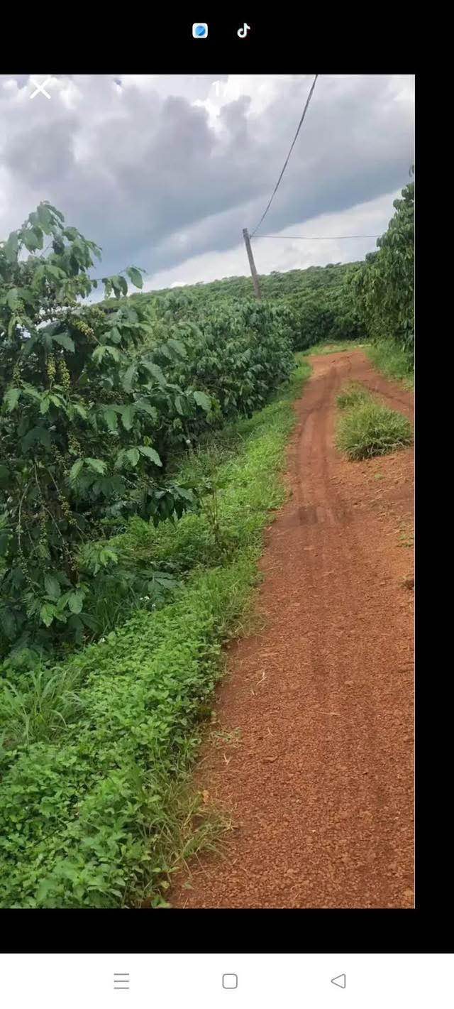 Đất nền Lộc Thắng Bảo Lâm 11,000m² giá 2.95 tỷ - Sổ hồng trao tay!