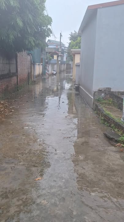 Đất liền kề thôn Bồ Dương, xã Hồng Phong, 89m² giá 800 triệu - Vị trí đắc địa gần chợ và trường học!