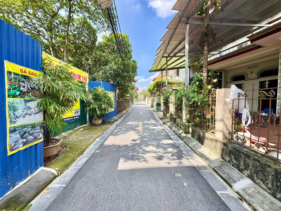 Đất nền xóm Cưu, Cổ Loa, Đông Anh 75.3m² giá chỉ 4 tỷ - Đầu tư sinh lời ngay!