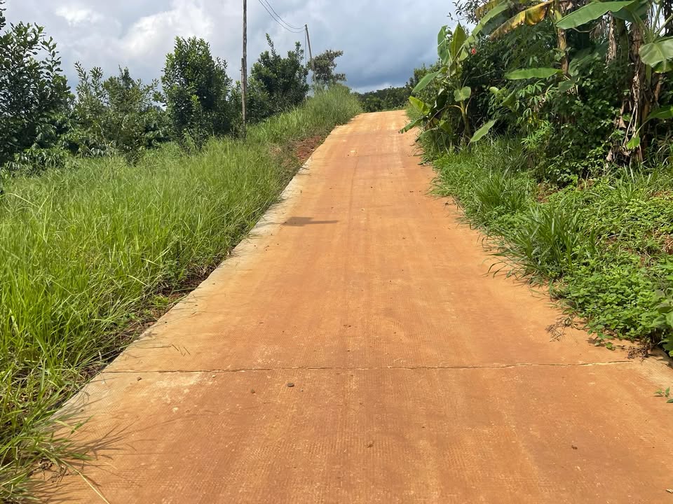 Đất nền Kiến Thành 1000m² giá chỉ 320 triệu - Cơ hội đầu tư tuyệt vời!