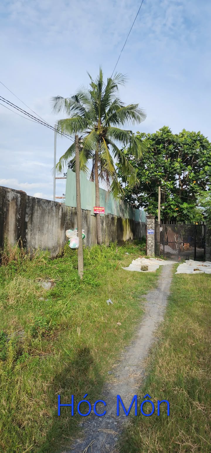 Đất nông nghiệp Hóc Môn 2967m² giá 12 tỷ - Đầu tư sinh lời ngay!