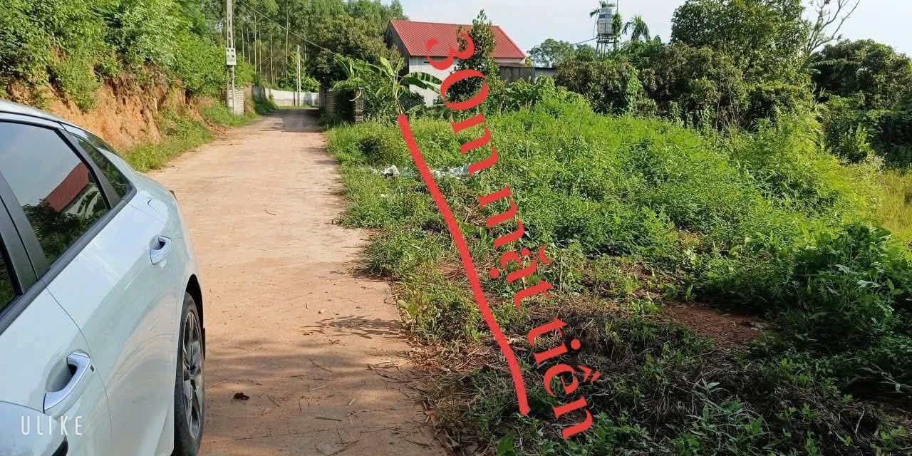 Đất mặt tiền 30m tại Kép, Lạng Giang, 1200m² - Cơ hội đầu tư tuyệt vời!