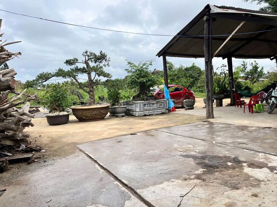 Nhà vườn đẹp tại Diên Đồng 3300m² giá 2.2 tỷ - Cơ hội đầu tư hấp dẫn!