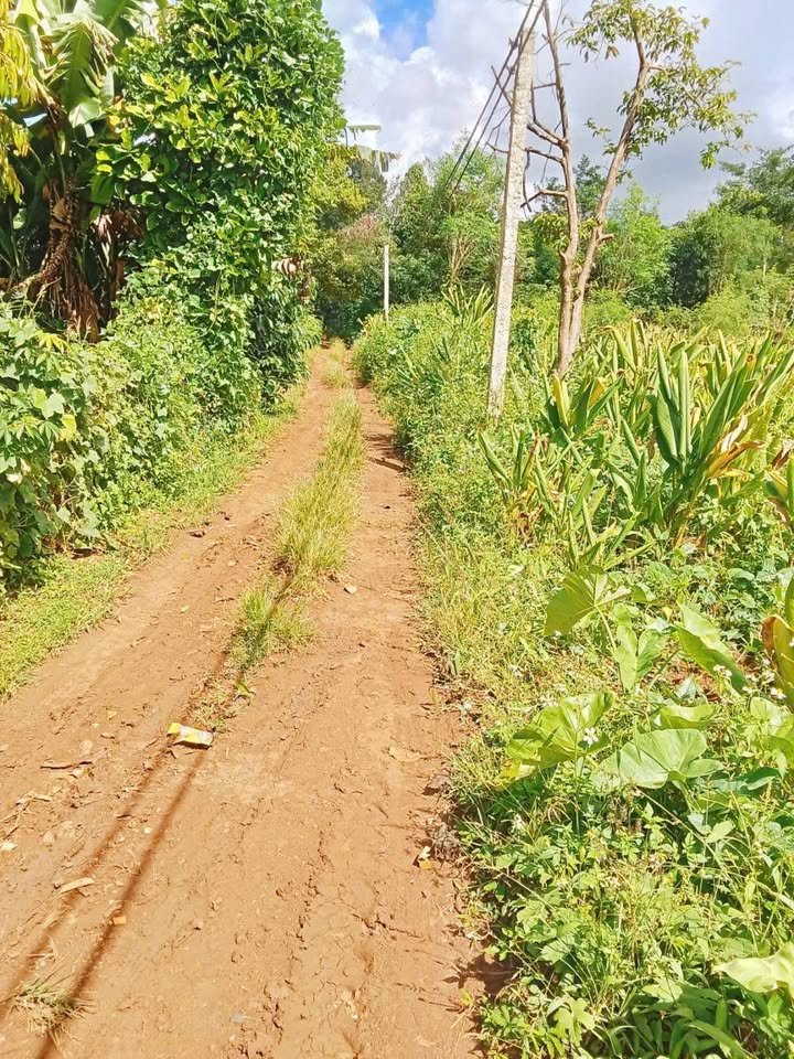 Đất nền Phước An Krông Pắc 10,800m² giá 1.7 tỷ - Sổ hồng chính chủ!