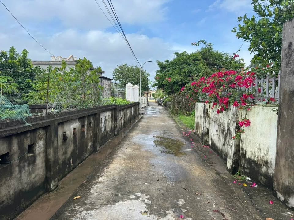 Đất thổ cư Đông Minh Tiền Hải 146.8m² - Cách biển chỉ 200m, giá tốt nhanh tay!