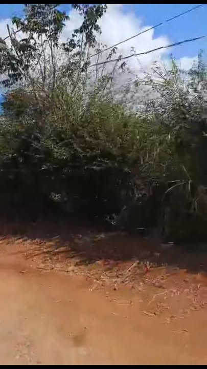 Nhà cấp 4 Đăk Kim Đăk Mil 350m² giá 1.1 tỷ - Sân cổng rộng ô tô vào tận nơi!