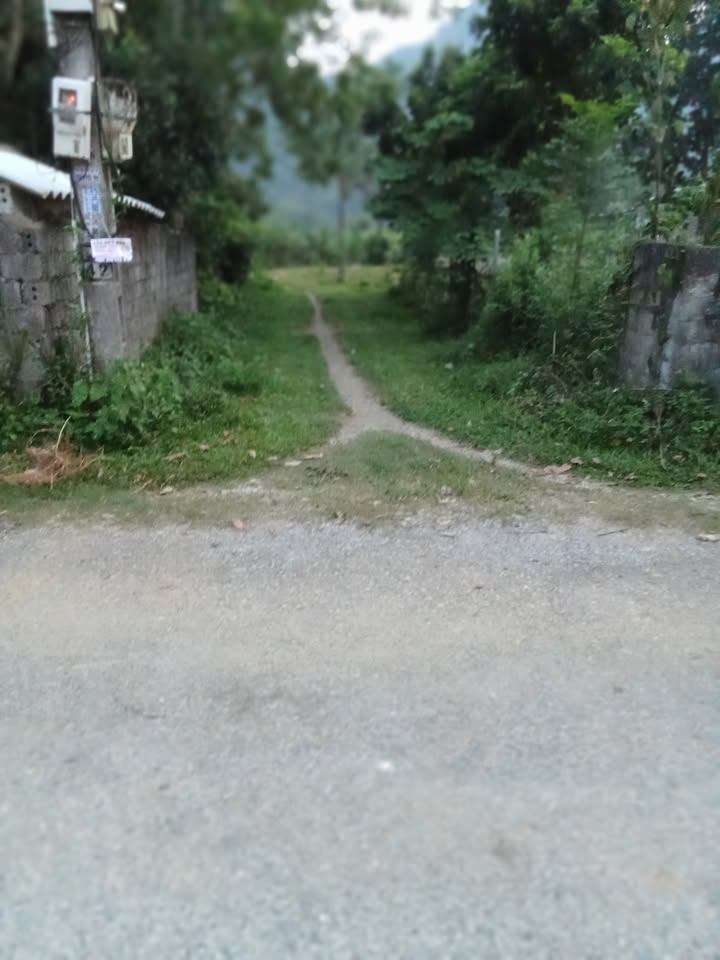 Đất nền 2.380m² xã Phú Thành, Lạc Thủy - Cơ hội đầu tư sinh lời hấp dẫn!