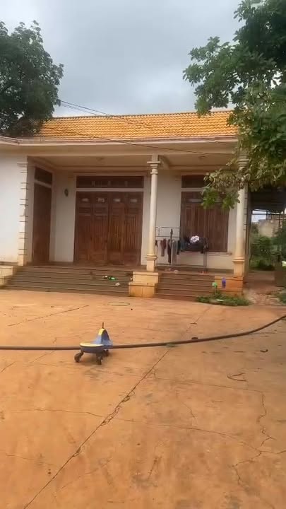 Đất farm 3 xào Ia Blứ, Chư Pưh, 12.000m² giá 2.55 tỷ - Đất 2 mặt đường, sẵn nhà ở!