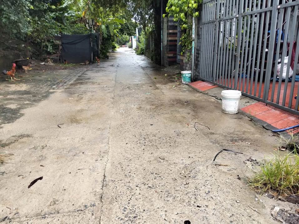 Đất nền đường Nguyễn Như Đổ, Hòa Thọ Tây 135.9m² giá 2.6 tỷ - Cơ hội đầu tư tuyệt vời!