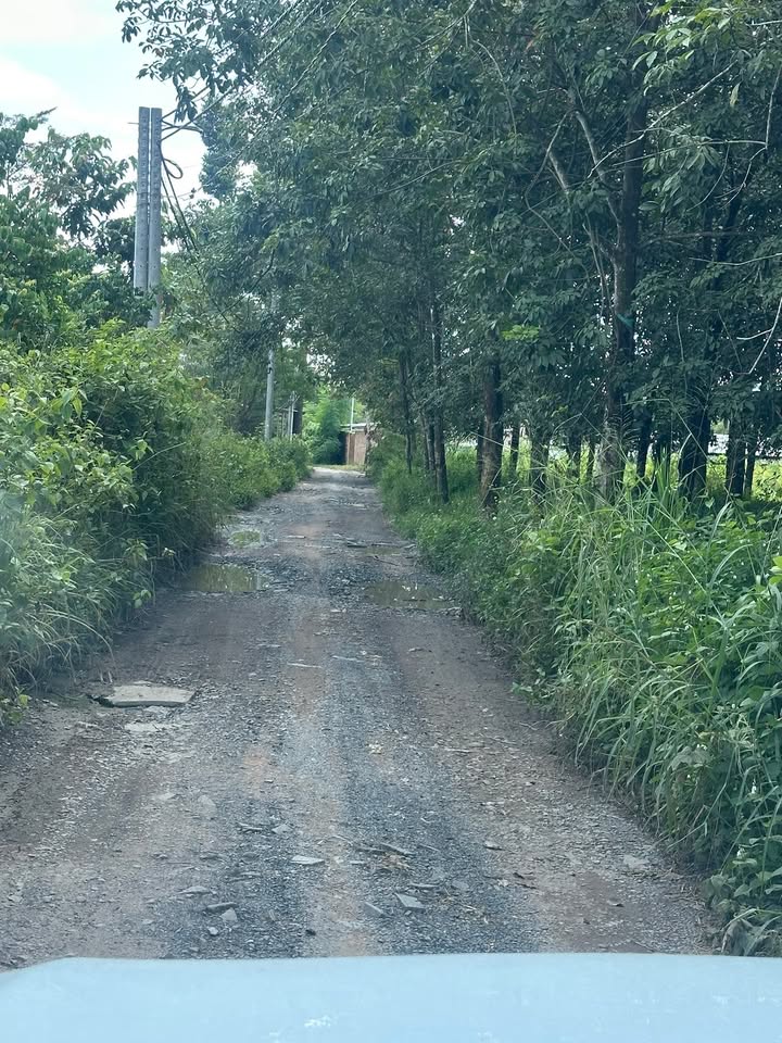 Đất nền Trảng Bom 3000m² giá 5.4 tỷ - Đầu tư sinh lời cao!