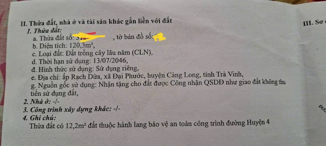 Đất nền 105m² tại ấp Rạch Dừa, Trà Vinh - Giá chỉ 400 triệu, cơ hội đầu tư tuyệt vời!