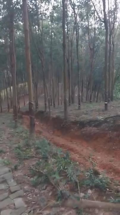 Đất Farm 2,8ha cao su tại Phú Trung, Bình Phước giá 3,92 tỷ - Đầu tư sinh lời hiệu quả!