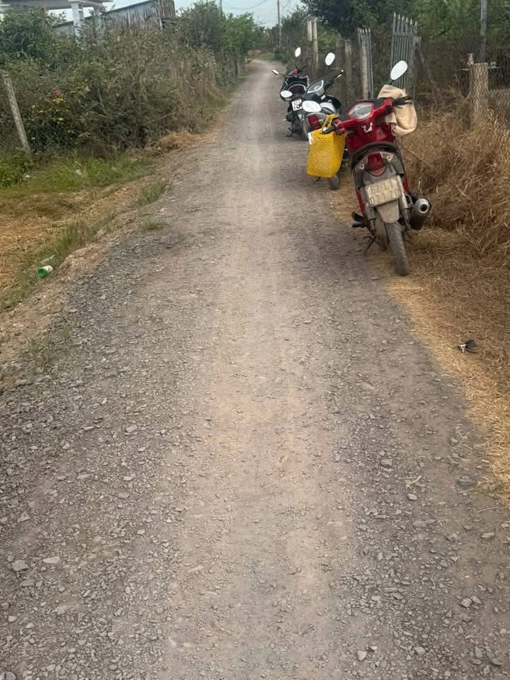 Đất lúa 3500m² Long Hựu Tây, Cần Đước - Giá chỉ 480 triệu!