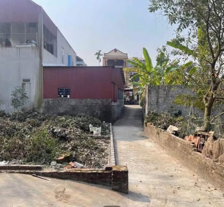 Đất nền Trung Sơn Trầm 50m² giá 1.6 tỷ - Gần trường học mọi cấp