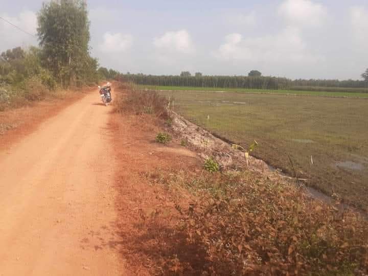 Đất nền Tân Hiệp 19000m² giá 282.6 triệu - Mặt tiền đường lớn, cơ hội đầu tư tốt!