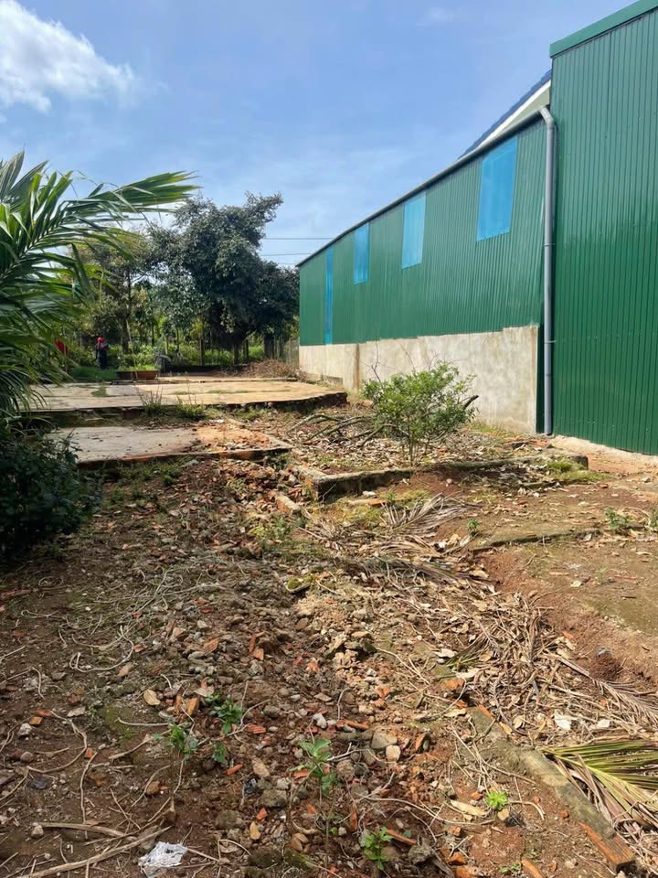 Đất nền phường An Bình Biên Hòa 240m² giá 1.15 tỷ - Vị trí đẹp, gần trường học!