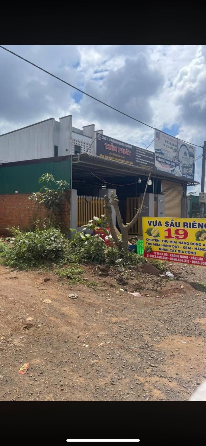 Đất mặt tiền đường nhựa Ea Hồ, Krông Năng 196m² giá chỉ 1.95 tỷ - Đầu tư sinh lời ngay!