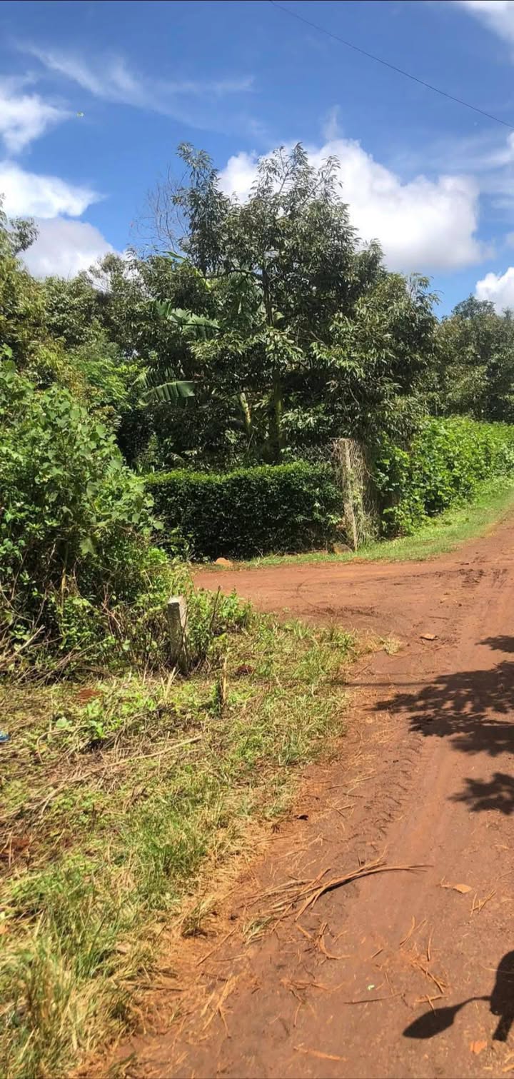 Đất mặt tiền Y Đôn Buôn Hồ 110m² giá 800 triệu - Cơ hội đầu tư hấp dẫn!