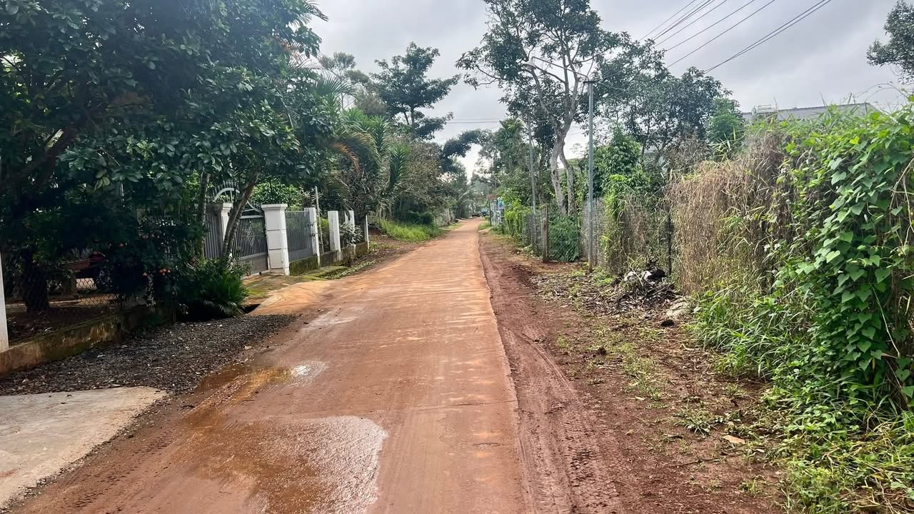 Đất nền 300m² tại Đắk Mil - Giá chỉ 750 triệu - Đầu tư sinh lời cao!