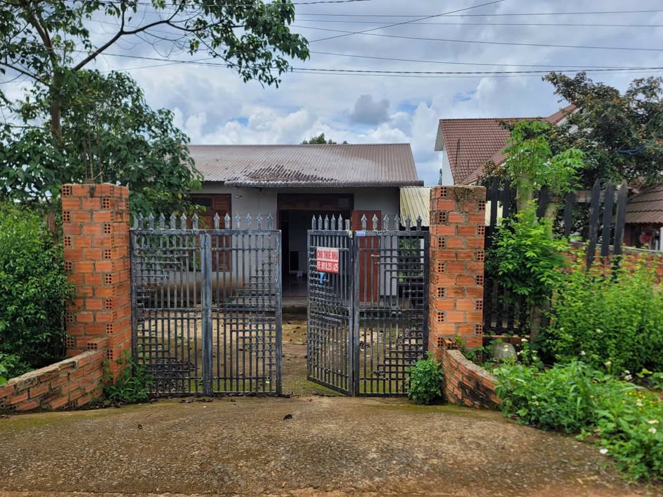 Đất cho thuê tại xã Thuận An, Đắk Mil 700m² - Phù hợp làm homestay!