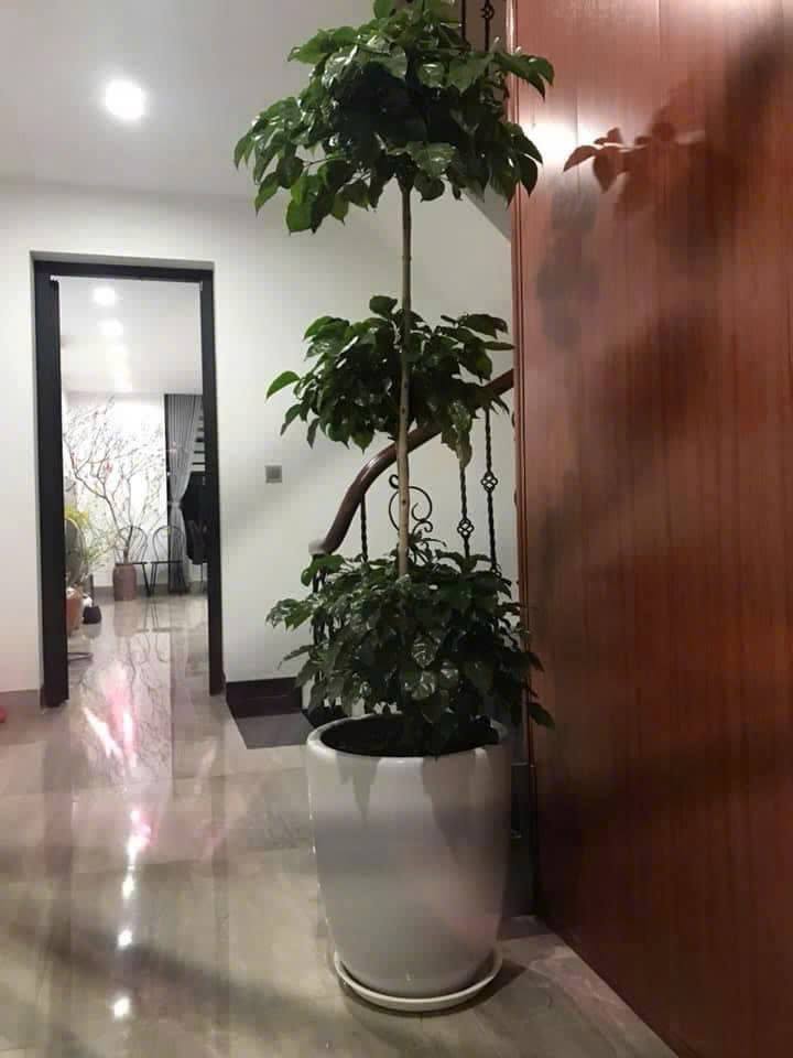 Nhà nguyên căn 90m² khu đô thị Văn Phú - Hà Đông chỉ 40 triệu/tháng - Phù hợp kinh doanh và ở ngay!