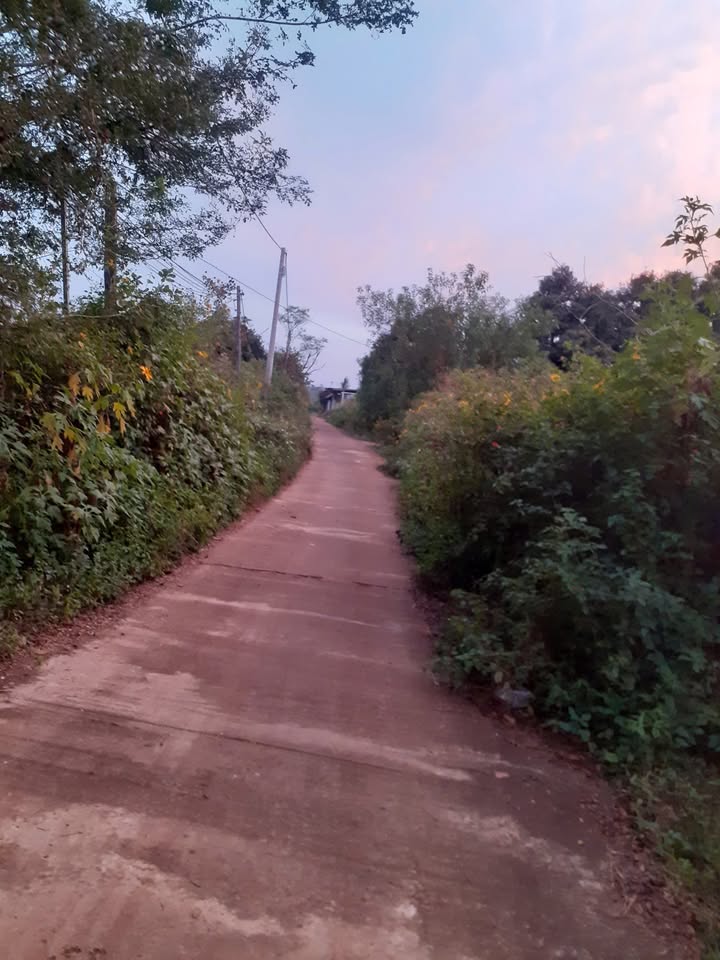 Đất nông nghiệp Chư Prông 400m² giá 680 triệu - Cơ hội đầu tư sinh lời!