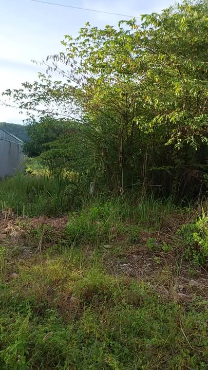 Đất nền đường số 19, Hà Tiên 125m² giá chỉ 1.25 tỷ - Sổ hồng chính chủ!