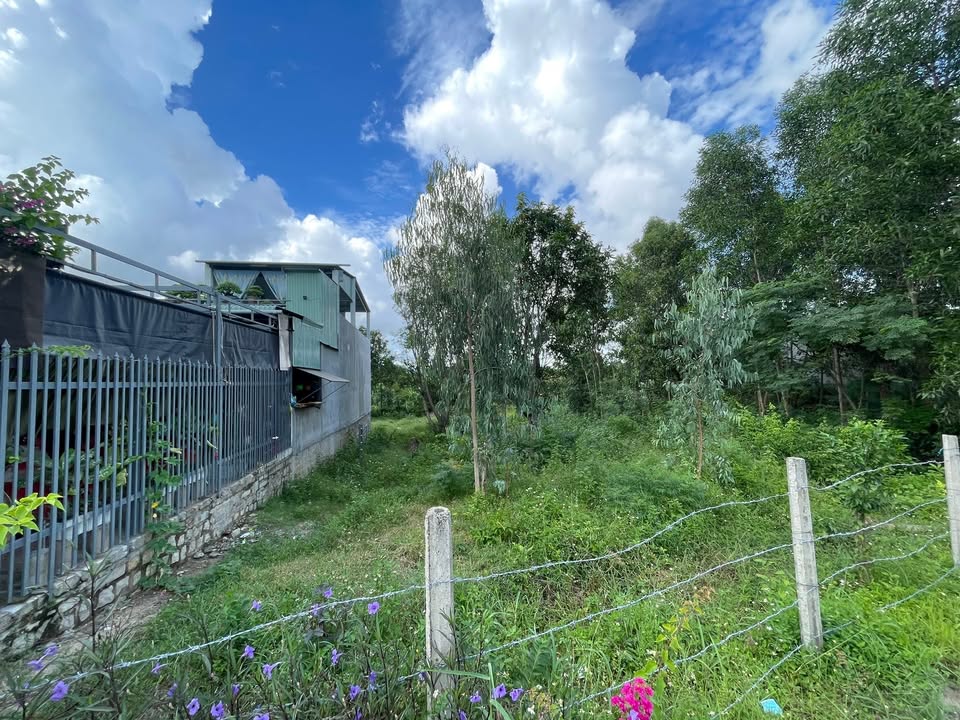 Đất nền Phước An Nhơn Trạch 200m² giá 700 triệu - Cơ hội đầu tư hấp dẫn!