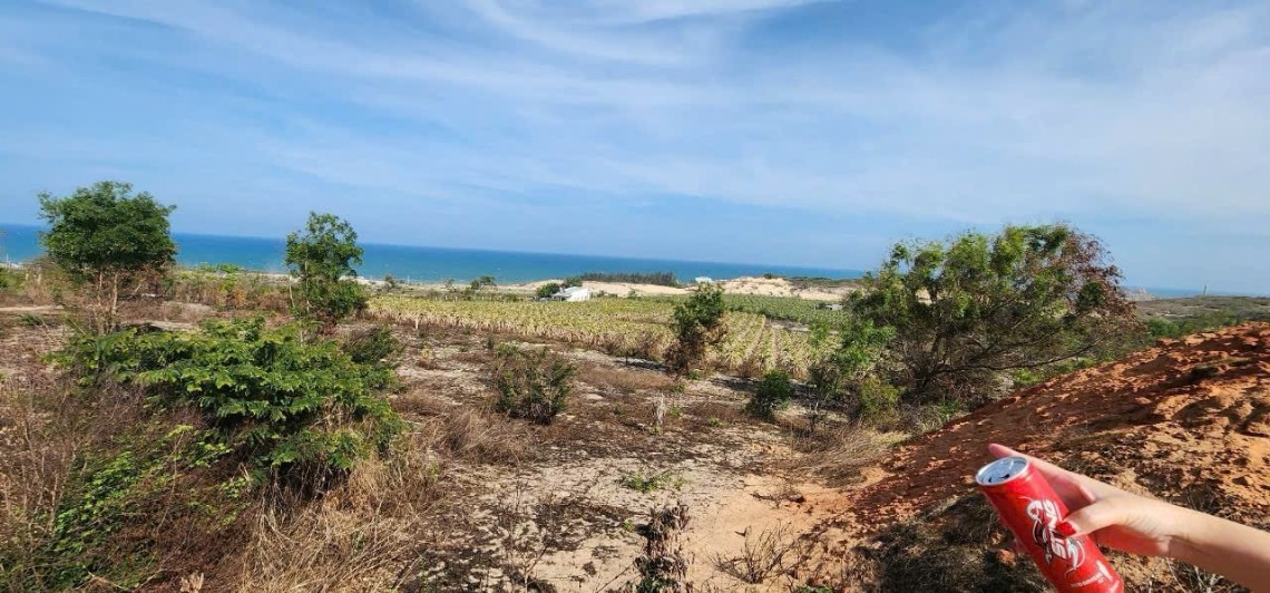 Đất Kê Gà 11,640m² giá 14 tỷ - Tiềm năng phát triển lớn gần biển!