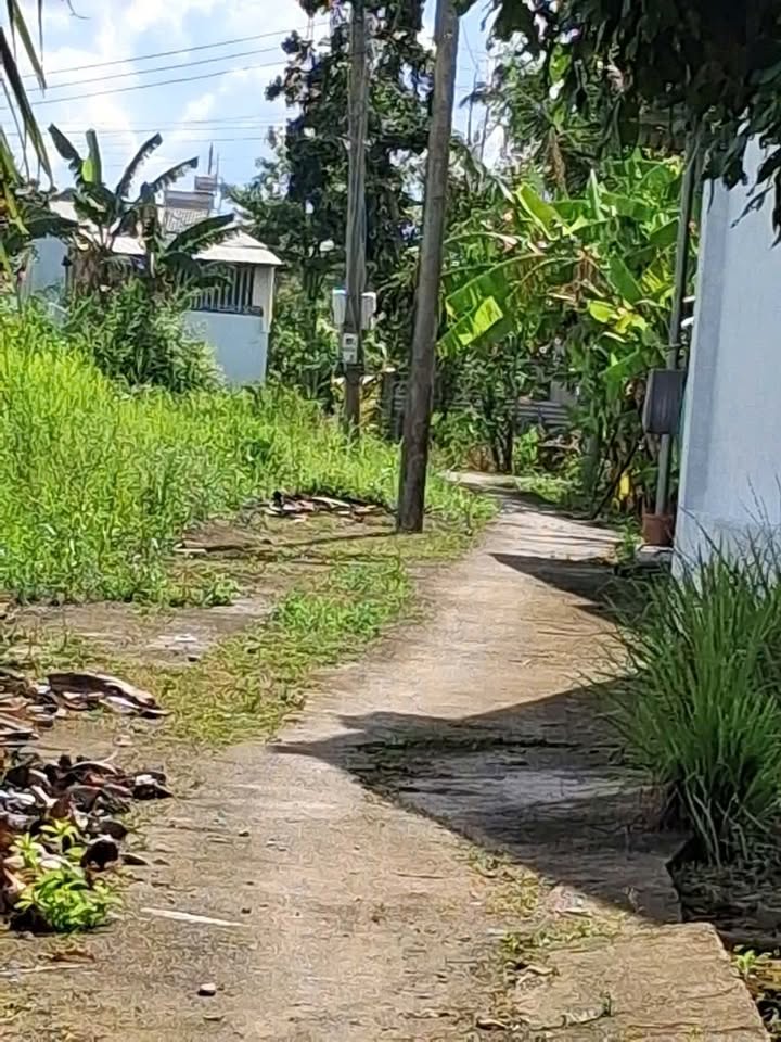 Đất nền chính chủ Phường Thanh Đức, Vĩnh Long 133m² giá 650 triệu - Cơ hội đầu tư hấp dẫn!