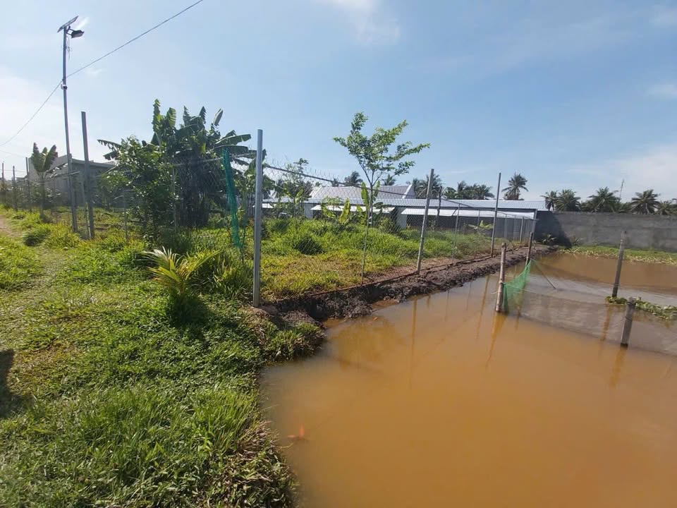 Đất nền đường Cao Văn Lầu, phường Vĩnh Hiệp, Rạch Giá 3154m² - Giá chỉ 8 tỷ!