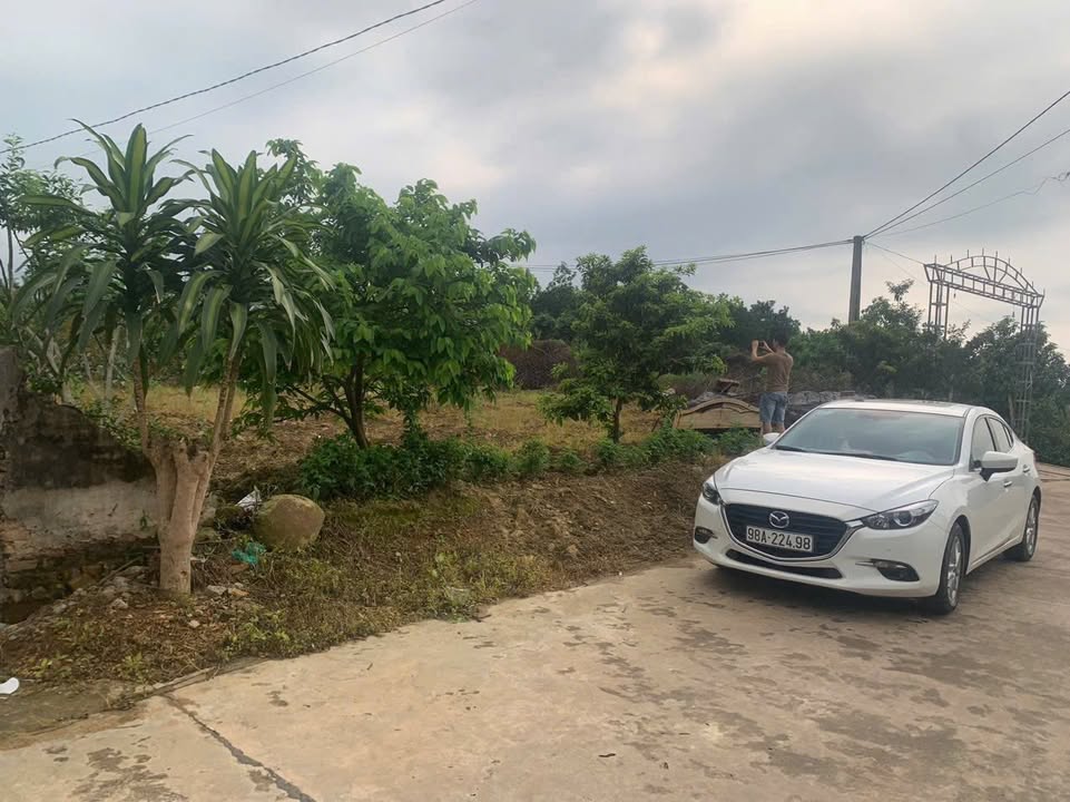 Đất thổ cư Tân Mộc Lục Ngạn 1508m² giá chỉ 400 triệu - Đầu tư sinh lời ngay!