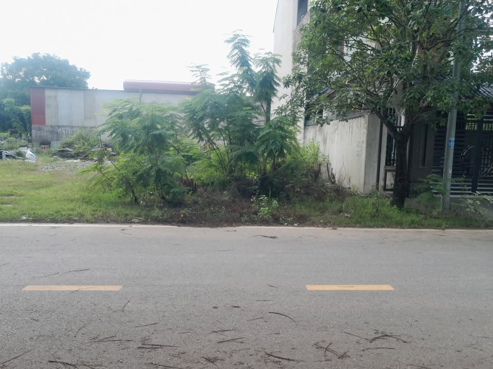 Đất nền Khu Đô thị Minh Phương 90m² giá 3 tỷ - Vị trí đắc địa gần hồ và chợ!