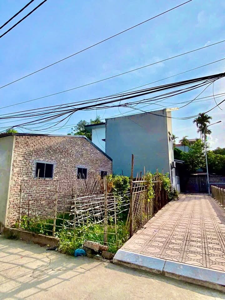 Đất nền đẹp tại Đại lộ Thăng Long, Hoài Đức 58m² - Pháp lý rõ ràng, tiềm năng tăng giá cao!