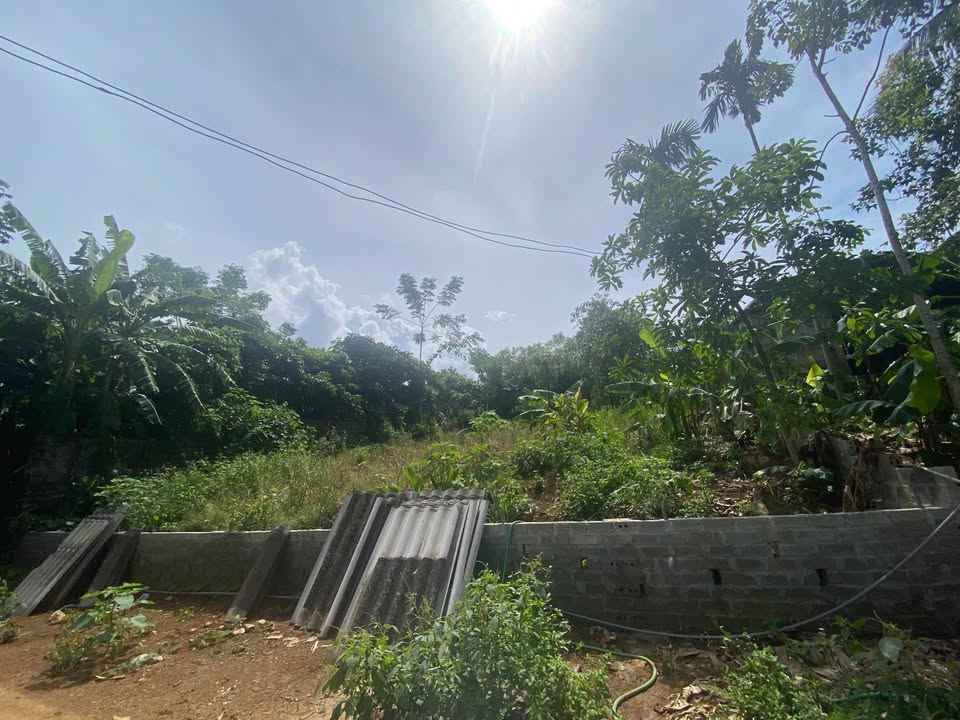 Đất nền Suối Hai, Ba Vì 887m² giá chỉ 3 tỷ - Cơ hội đầu tư tuyệt vời!