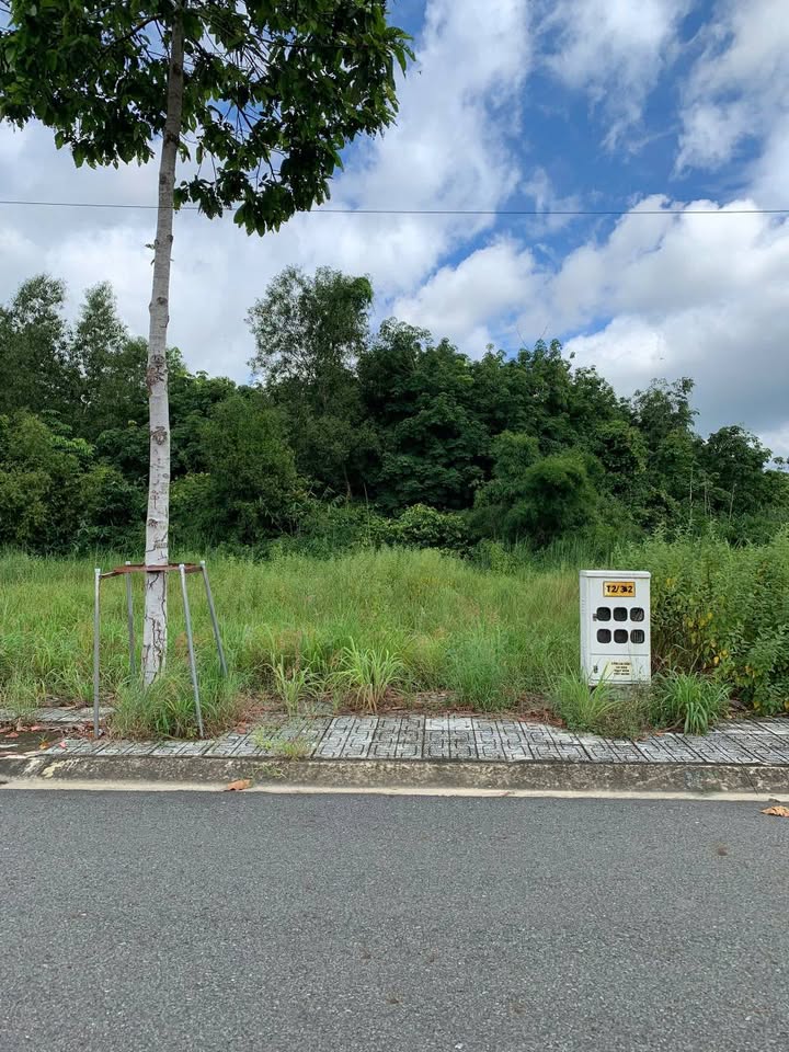 Đất thổ cư 84m² Khu Dân Cư Mỹ Phước Khánh - Giá chỉ 1 tỷ!