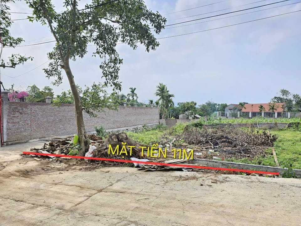 Đất thổ cư Yên Bình Thạch Thất 266,7m² giá thương lượng - Lô góc tiềm năng đầu tư!