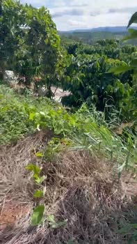 Đất nền Phúc Thọ Lâm Hà 377m² giá 1.6 tỷ - Sổ đỏ chính chủ, thuận tiện kinh doanh