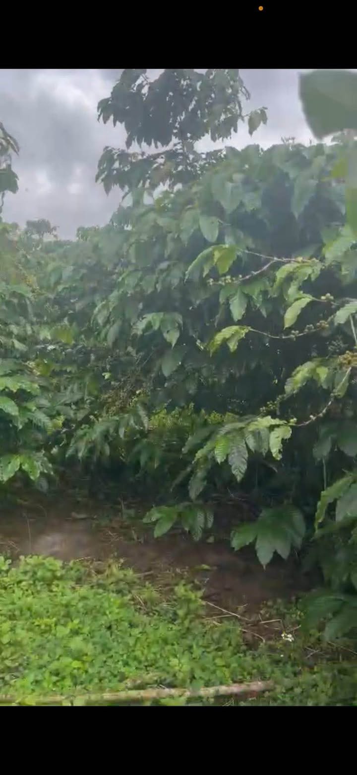 Đất nền 3600m² mặt tiền đường ô tô tại Lộc Ngãi - Giá chỉ 6.58 tỷ!