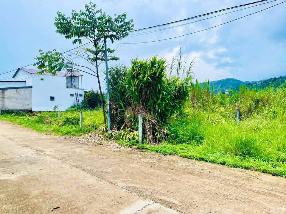 Đất nền Bảo Lộc 560m² giá 1.95 tỷ - Tiềm năng đầu tư lớn!